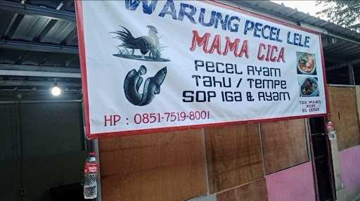 Pecel Lele Mama Cica 10