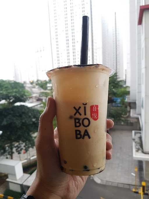 Xi Bo Ba Bassura 3