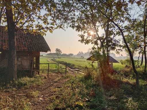 Kebon Abah 10