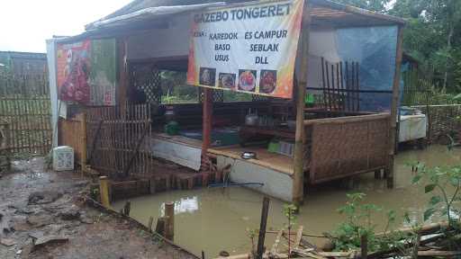 Gazebo Tongeret 2