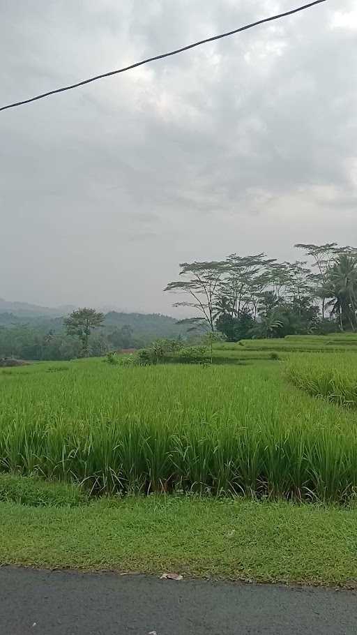 Waroeng Darmaga Ibu Nining 2