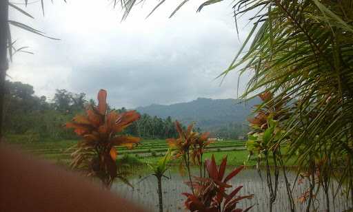 Warung Bi Enung Pasir Leles 4