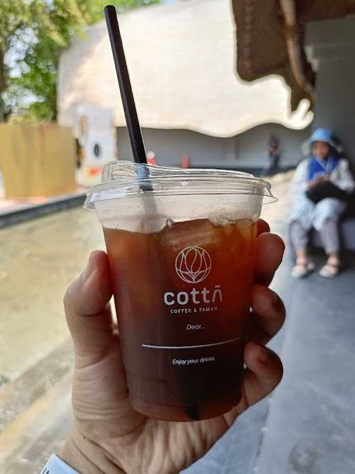 Cotta Coffee Solo Safari 3