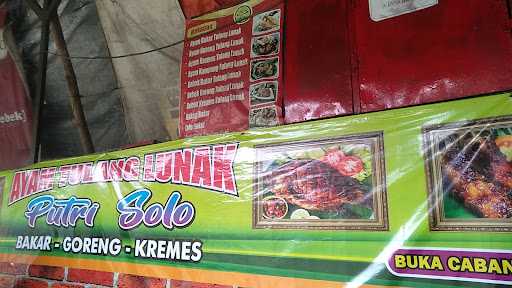 Ayam Kremes Putri Solo 2