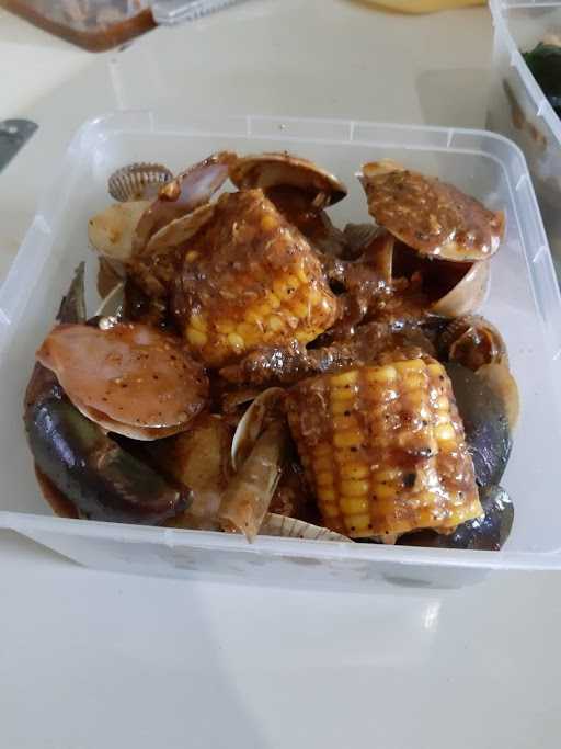 Spesies Kerang 1