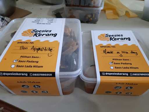 Spesies Kerang 5