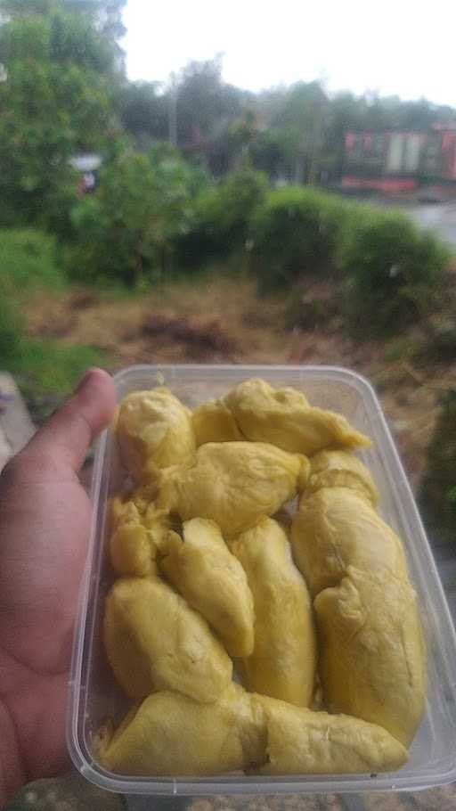 Zanuar Durian 4