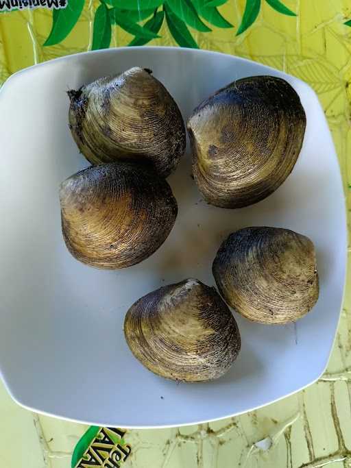 Warung Mangrove Budeng 5