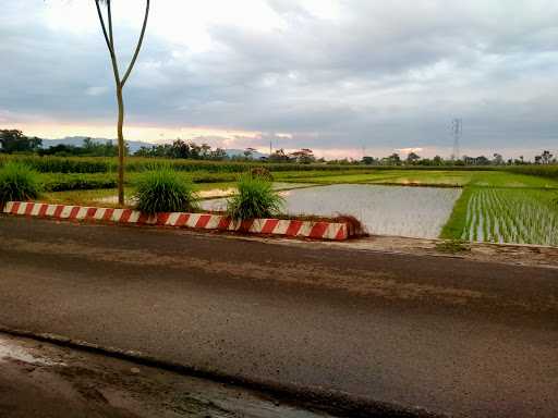 Mie Ayam Mbah Broto 4