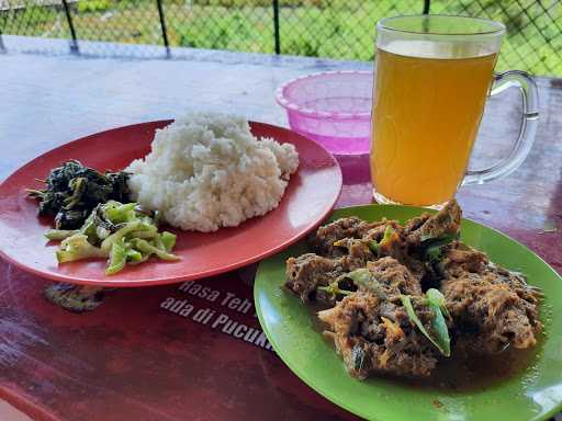 Warung Samanea Rica2 Entok 7