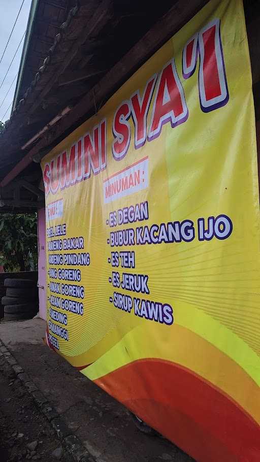 Warung Pecel Lele Sumini Sya'I 10