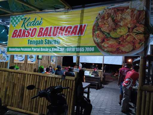 Bakso Balungan Tengah Sawah 10