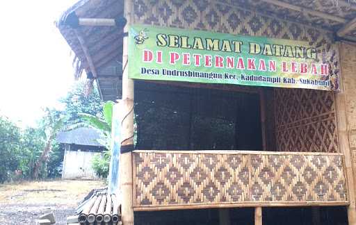 Madu Desa Undrus Binangun 3