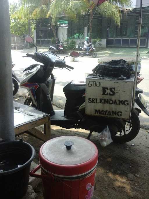 Es Selendang Mayang 8