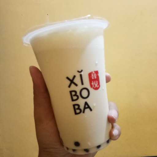 Xiboba 10