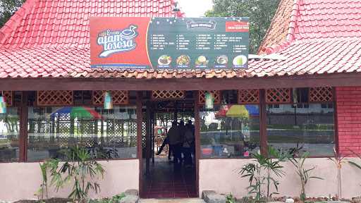 Alam Lososa Cafe&Resto 9