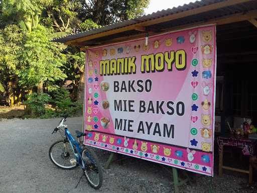 Mie Ayam & Bakso Manik Moyo 3