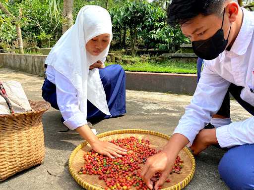 Omah Kopi Telemung 6