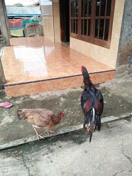 Warung Makan Mbak Susah 7