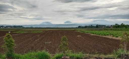 Warung Cangkring 4