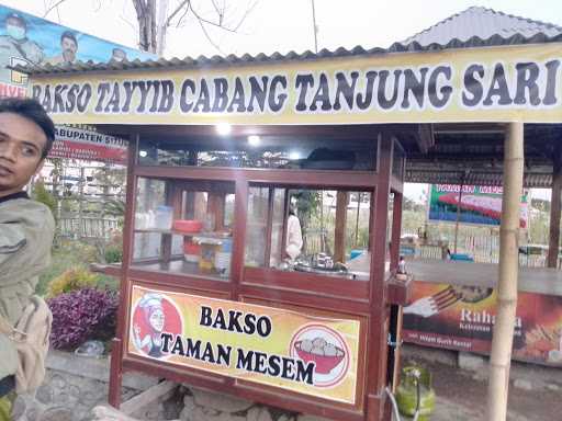 Bakso Taman Mesem 2