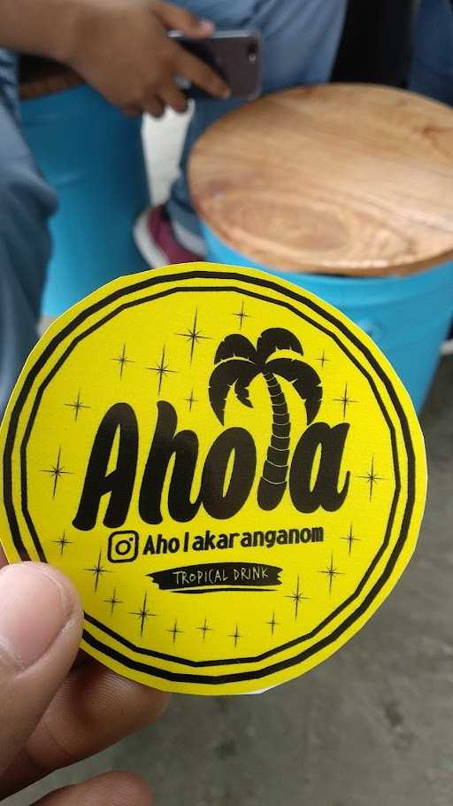 Ahola Karanganom 4