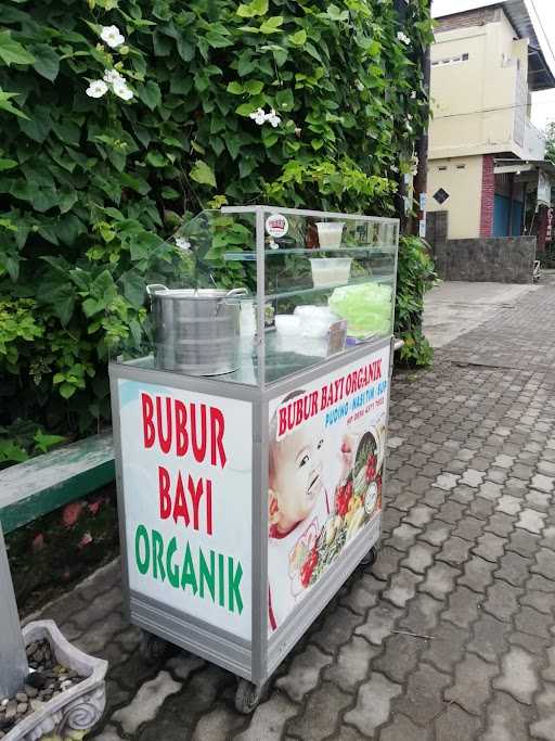 Bubur Bayi Organik Karanganyar Kebumen 4