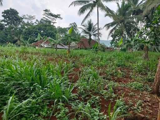 Saung Mangatang 4