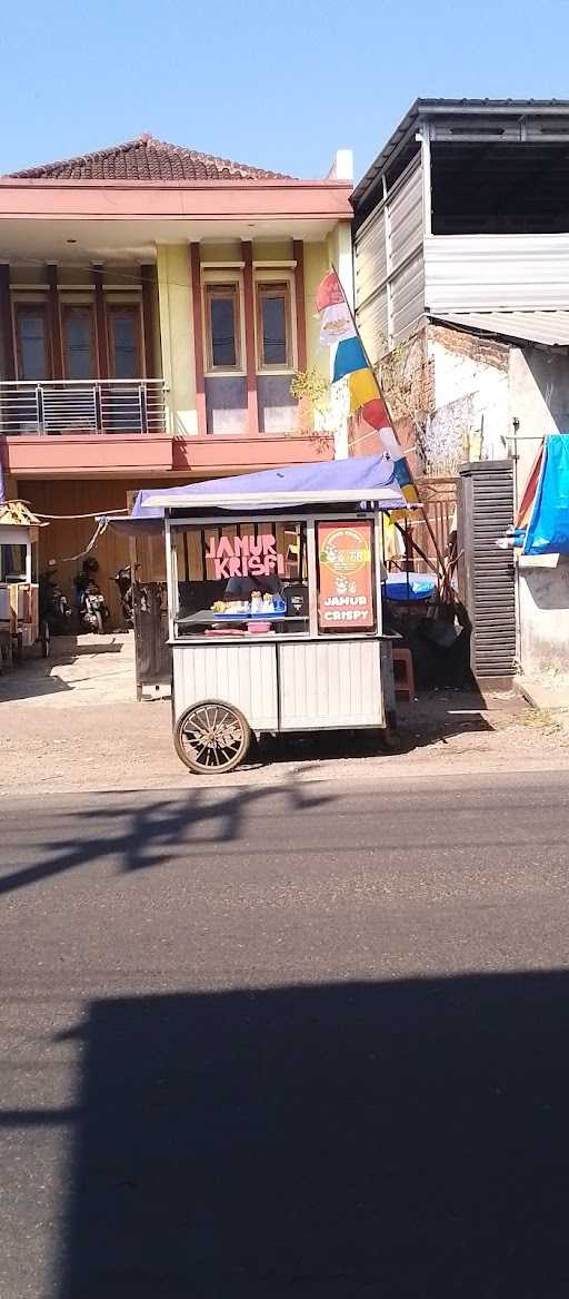 Jamur Crispy Tr Garut 4