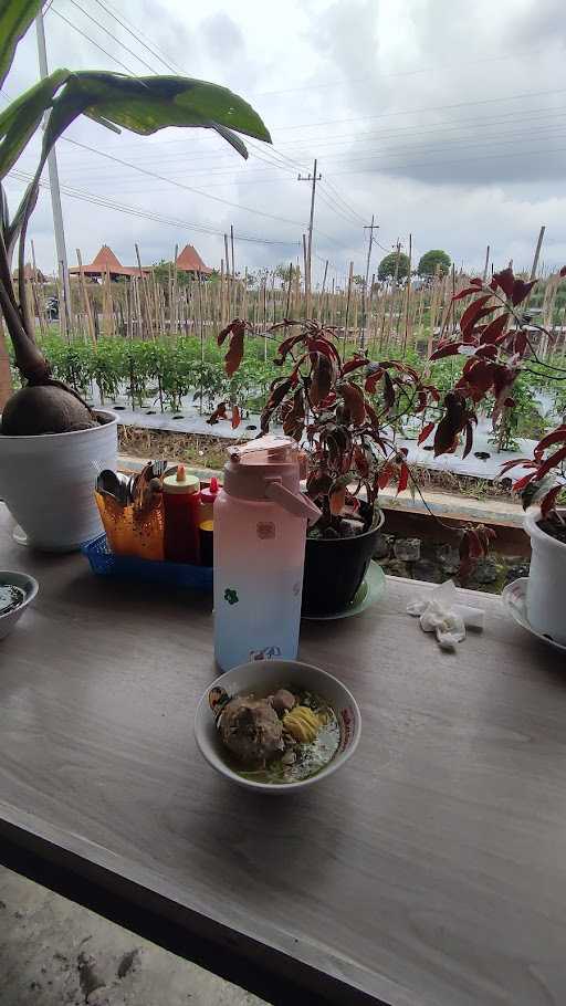 Bocah Gunung Bakso Beranak 9