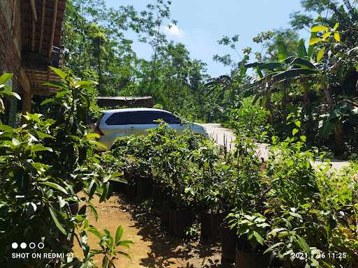 Waroeng Lesehan Cusi Kalikecot 10