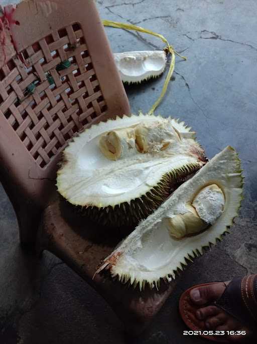 Duren Daniel Sadewata 1