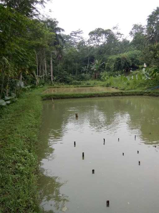 Ikan Bakar Abah 1 3