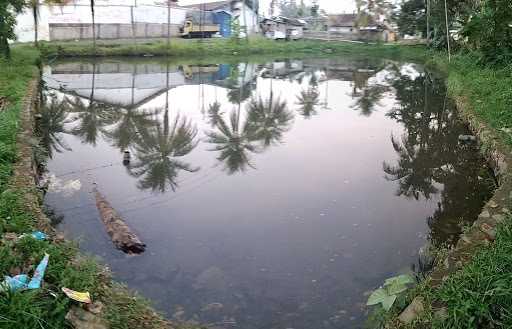 Kolam Ikan Pamokolan 9