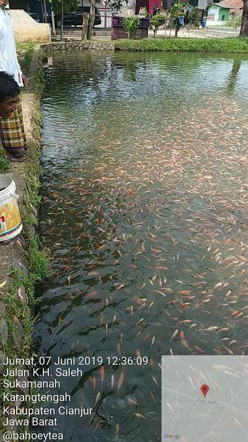 Kolam Ikan Pamokolan 2