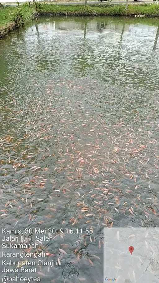 Kolam Ikan Pamokolan 1