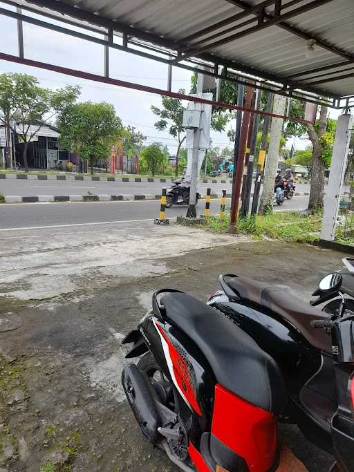 Bungoo Sereh Padang Asli 9