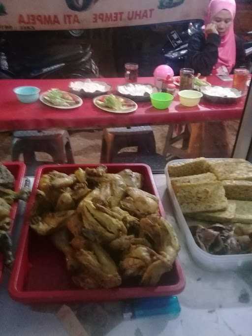 Pecel Lele Mas Bro 10