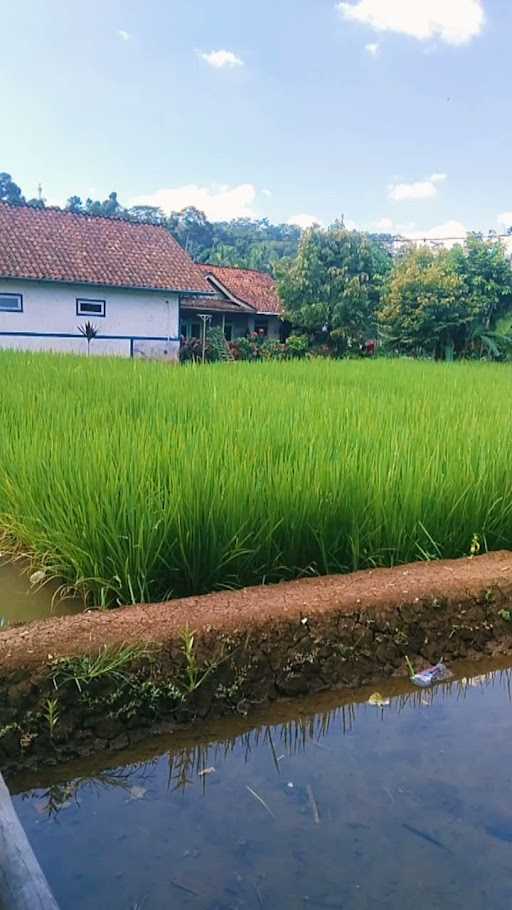 Pojok Seblak Kampung Nila 9