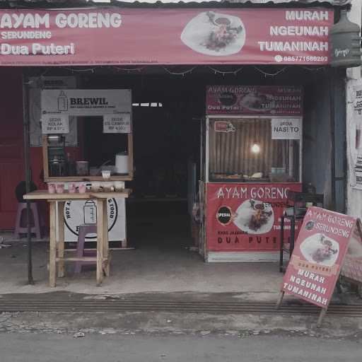 Ayam Goreng Serundeng Dua Puteri 8