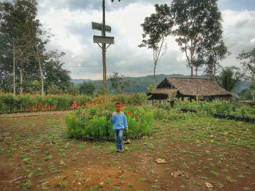 Bukit Lestari 10