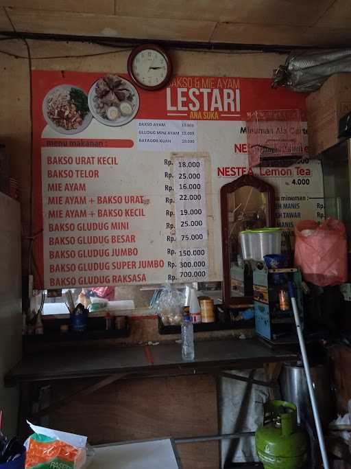 Bakso Mie Ayam Anasuka 9