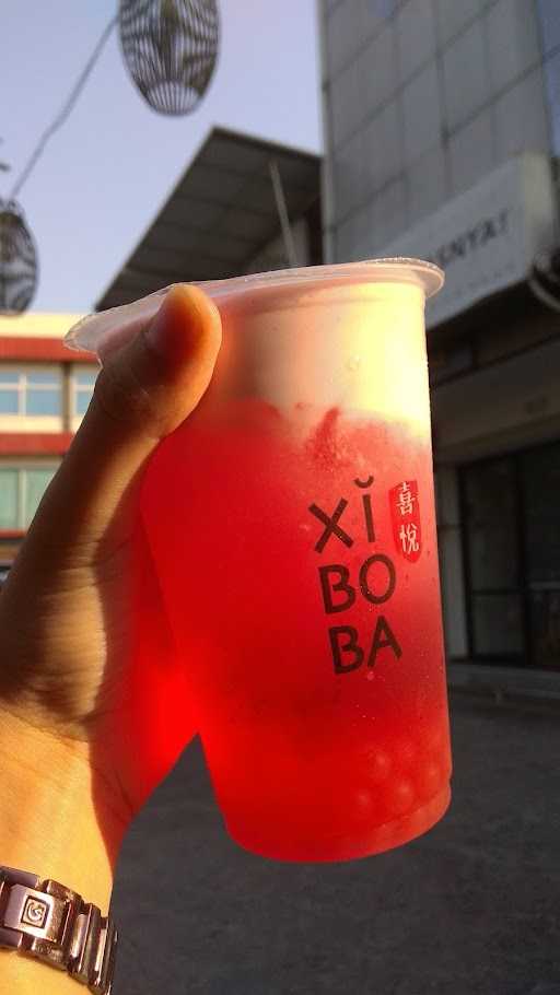 Xi Boba 4