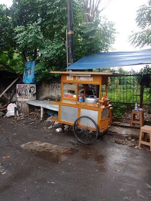 Bakso Flamboyan (Wonogiri) 9