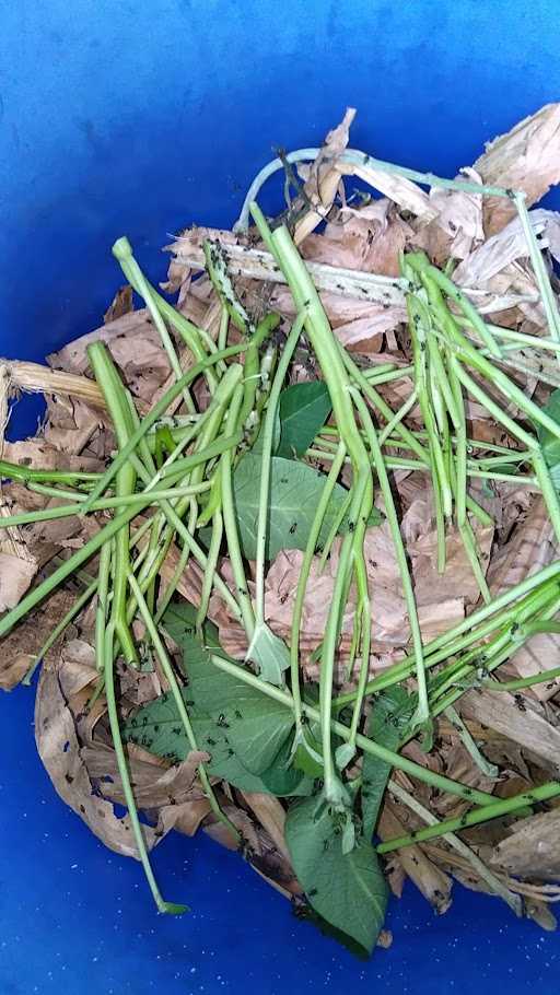 Nasi Uduk Mpok Ubad 1