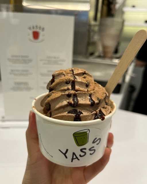 Yasss Ice Cream Lab 5