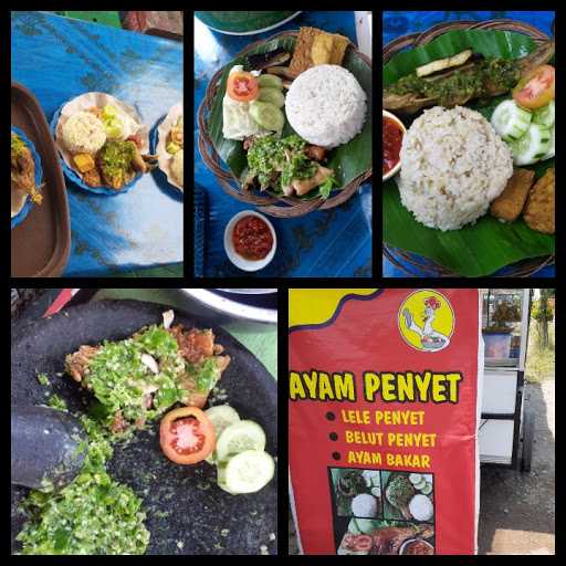 Ayam Penyet Lombok Ijo 7