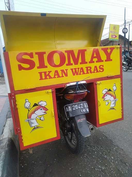 Siomay Ikan Waras 2