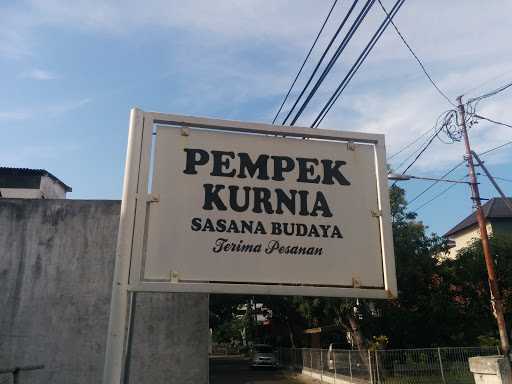 Pempek Kurnia 10