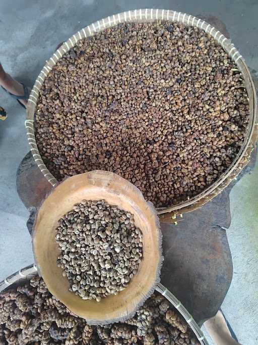 Sari Amerta Luwak Coffee 4